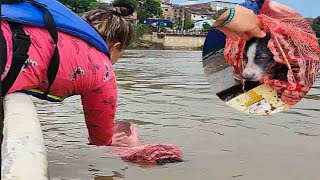 A sack was floating in the river and the faint cry for help of a small dog was inside by  Pitiful Animal 2,231 views 3 weeks ago 5 minutes, 58 seconds