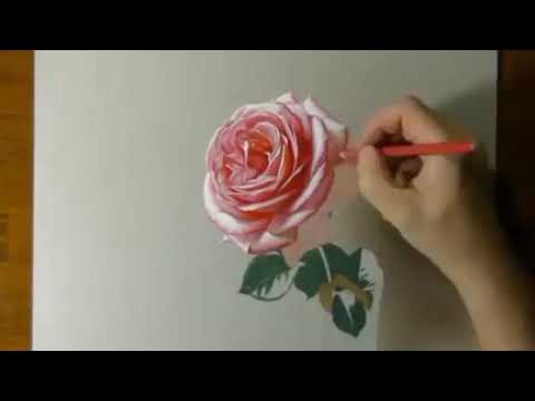 Aroq, pivo, jinsiy aloqa, mast sikish