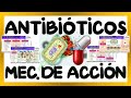 MNEMOTECNIA ANTIBIÓTICOS - ANTIBIÓTICOS CLASIFICACION Y MECANISMO DE ACCIÓN | GuiaMed