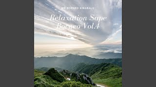 Relaxation Sape Borneo Vol. 4