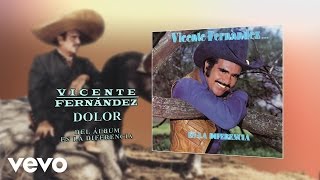 Vicente Fernández - Dolor Cover Audio
