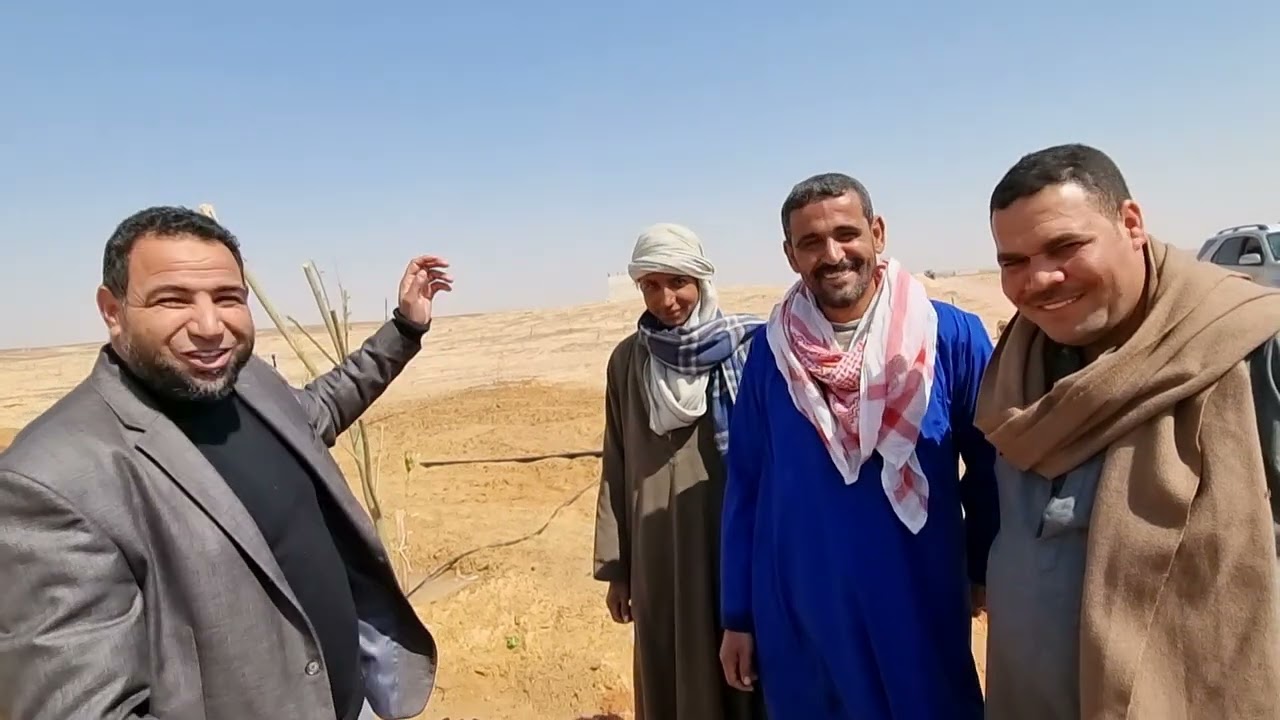 دشلوط وقصه نجاح عمي رجب بشركه الفلاح بااسيوط ٠١٠٠٨٧٩١٢٨٥