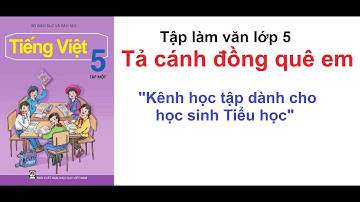 Tả cánh đồng quê em - Tập làm văn 5