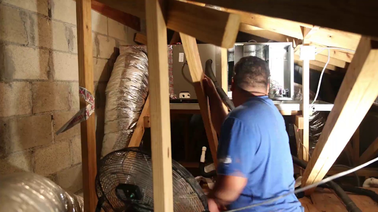 Polar Bear Air Conditioning Save With Energy Efficiency YouTube