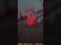 Tornado tears down trees and power lines