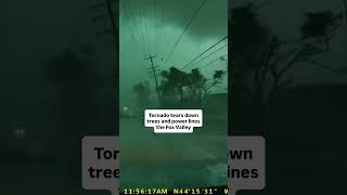 Tornado tears down trees and power lines
