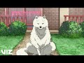 Immortal | To Your Eternity, Season 1 | VIZ