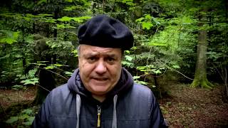 Osman Dziho I Haj Vani,Hajvani.......