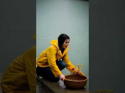 Women Saves Her Dogs Drowning In Canal! #rescue #animals #pets