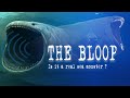 The Bloop, a Mysterious Sound From the Depths of the Ocean