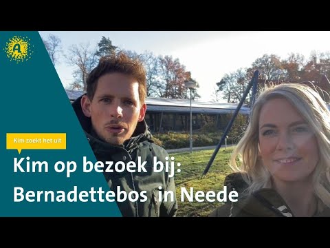 Werken als gespecialiseerd begeleider kind en jeugd, locatie Bernadettebos Aveleijn in Neede.