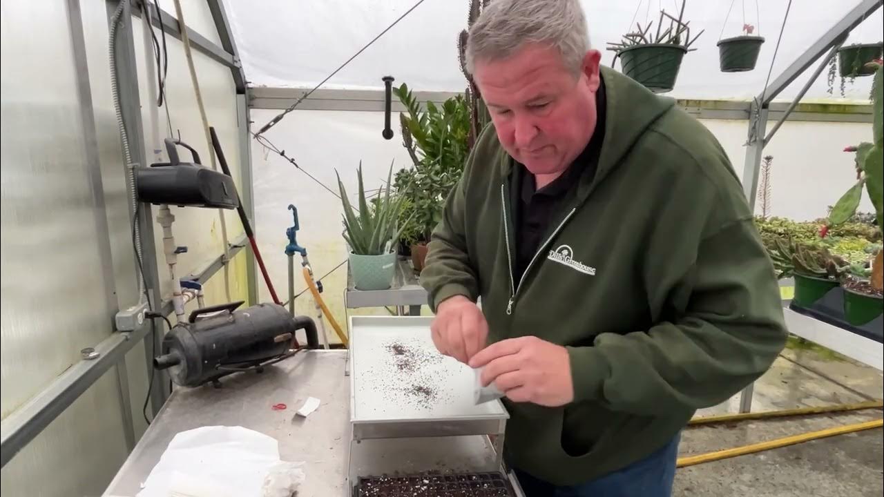Dill's Greenhouse vacuum seeding machine YouTube