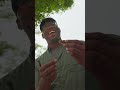 Catching Anoles With A Fishing Pole And String