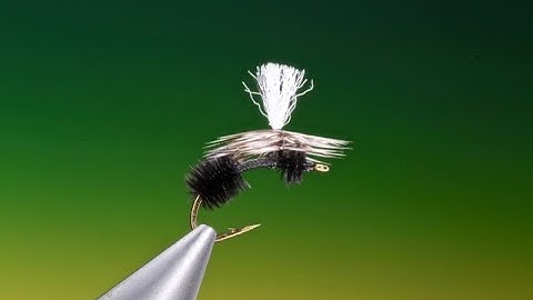 Fly Tying a Parachute ant with Barry Ord Clarke