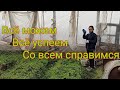 Все успеваем - и не ноем, потому что мы вместе ☺