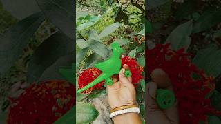 It Is The Smaller Shiny Jewel Beetle Part Y685