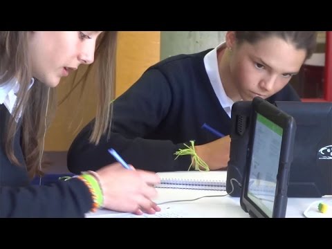 Colegio Europeo de Madrid | La evolución de un proyecto digital | BlinkLearning