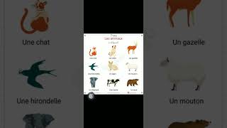تعلم اللغة الفرنسية للمبتدئين. أسماء الحيوانات
