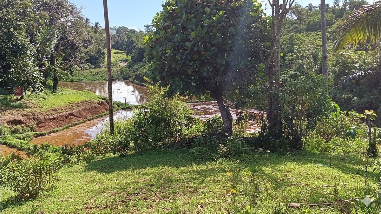 (P# 908) 5,265 sqms Farm Lot sa Cavinti, Laguna @ 3.5 Million