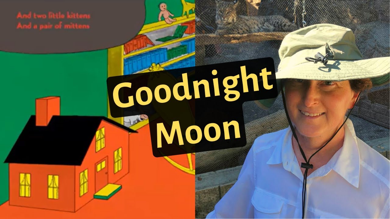Storytime with Susan: Goodnight Moon