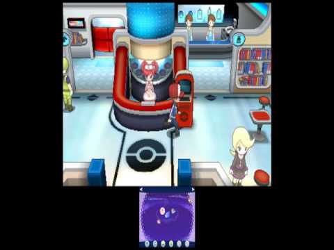 ゼルネアス 色 違い