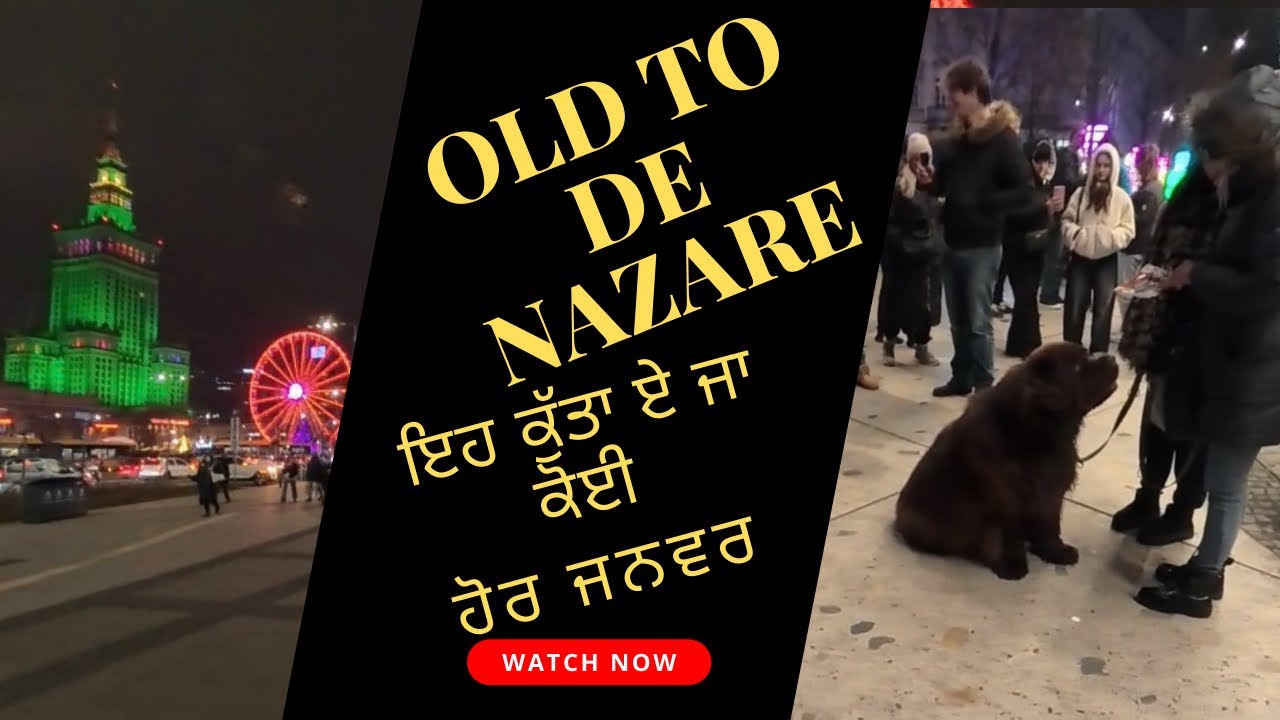 Old town de nazare || Eh kutta a ja koi hor janwar🤔| 