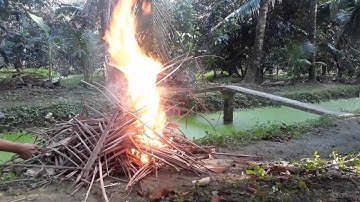 Lần đầu tiên Nướng cá lóc bằng lá chuối &cái kết thật bắt ngờ