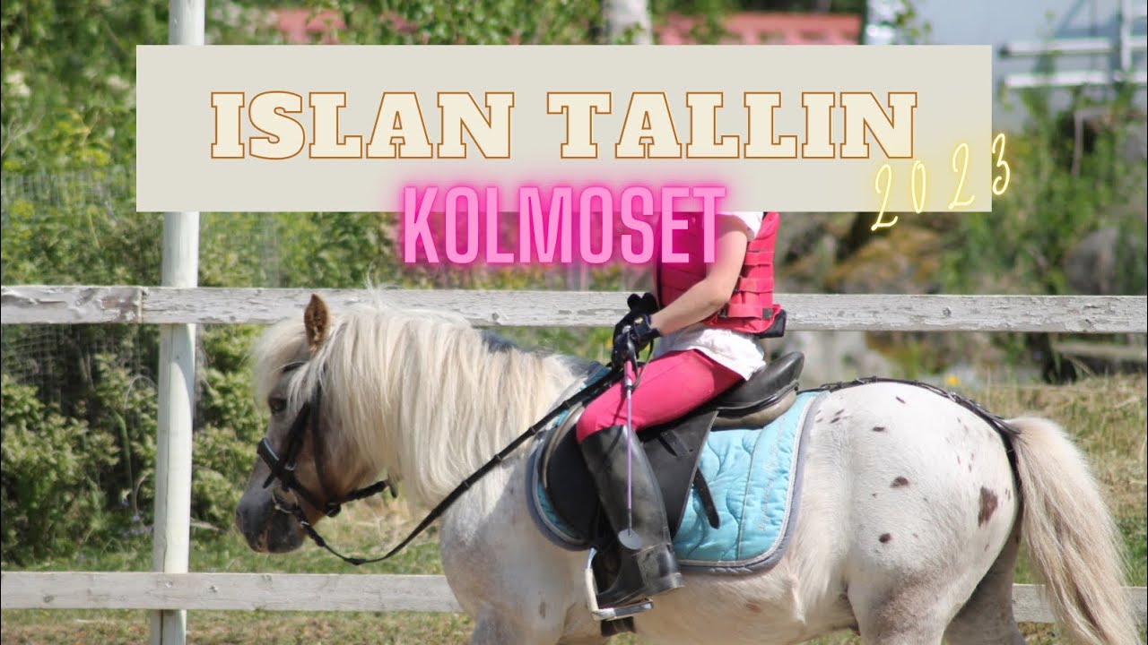 Islan tallin kolmoset 2023🐎❤️