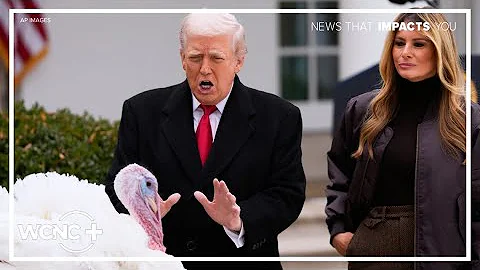 President Trump pardons two turkeys