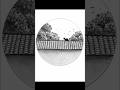 Relaxing Creative Art | Fun and Easy Drawing Tricks. | Simple Pencil Drawing Tutorials.
