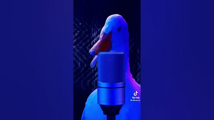 DUCK ASMR