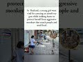 a young girl found a creative way to deal with aggressive monkeys #shorts #thailand #trending