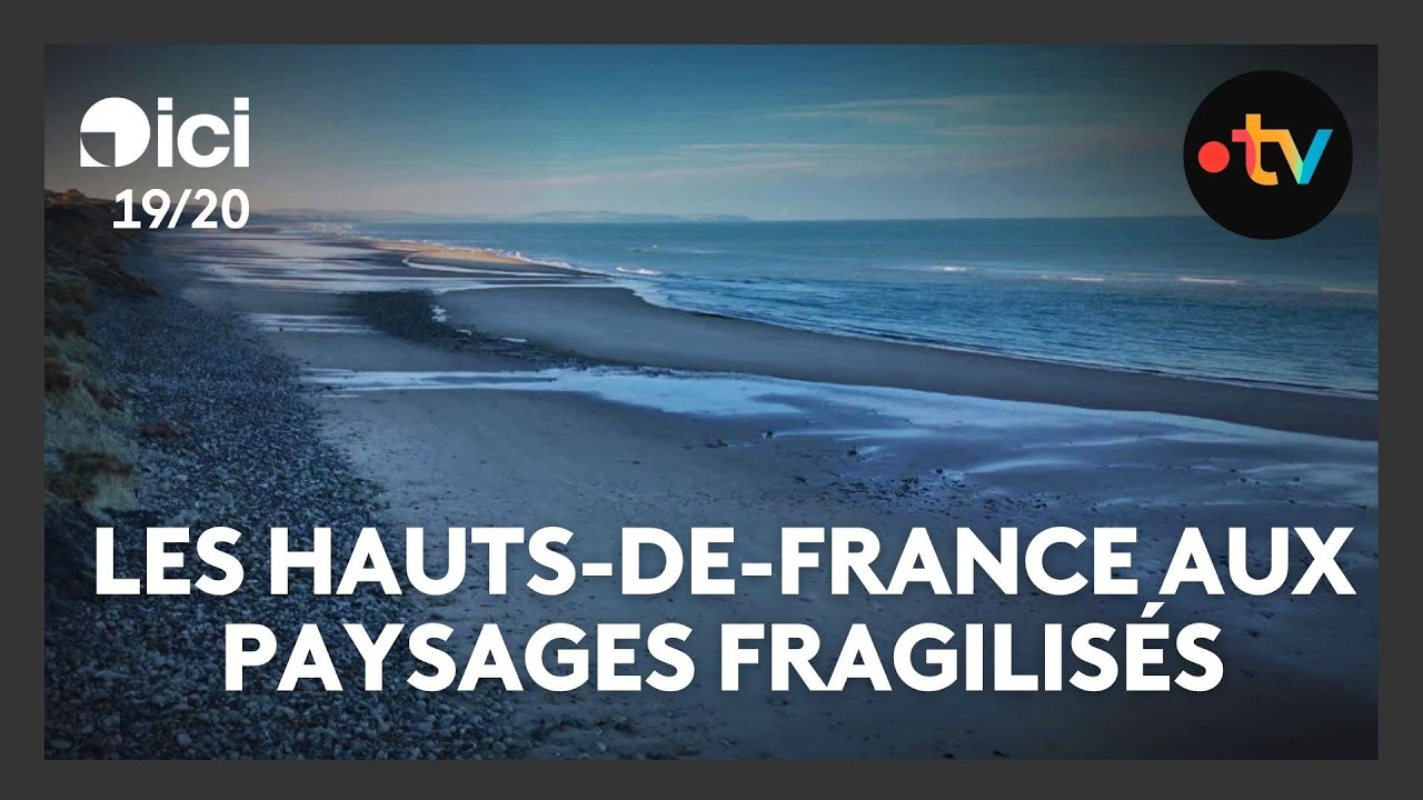 Les Hauts-de-France touchés par les conditions météorologiques, les conséquences sur la biodiversité