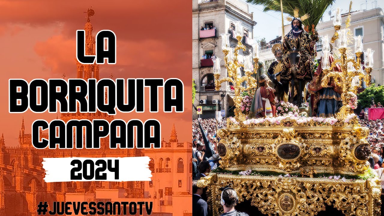 Borriquita en Campana 2024 - CT Sol de Sevilla - Hdad. Borriquita - Domingo de Ramos Sevilla