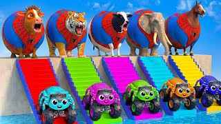 Long Slide Game With Elephant Gorilla Buffalo Hippopotamus Tiger - 3D Animal Game - Funny 3D Animals