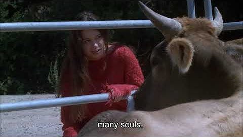 Firefly - River and cattle