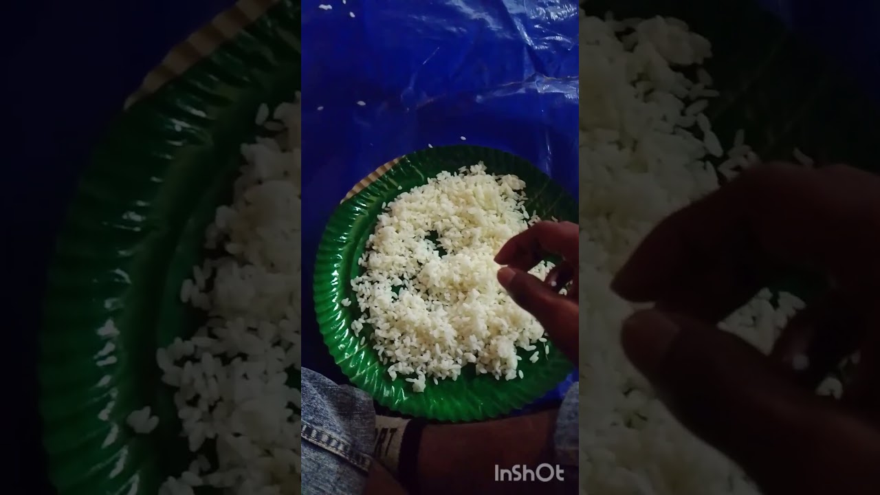 ডৰ্মো সোবা ভাট ডিচে ❤️ Rakibul star boy ⭐ Mini vlog video