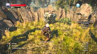 The Witcher 3: How To Kill a Earth Elemental (FAST)