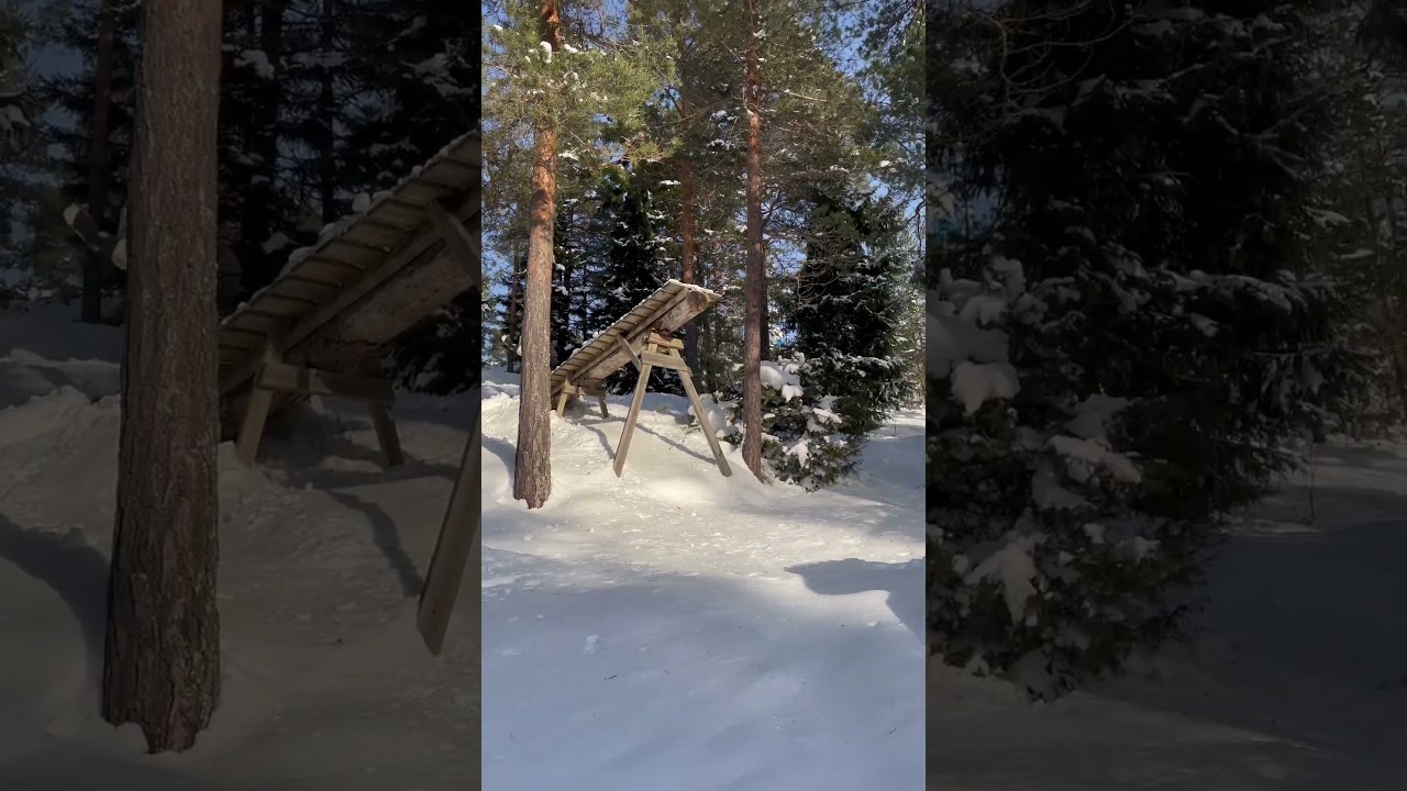 Skimore Wood Jump