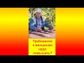 Требования к женщинам надо повышать?