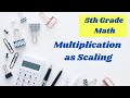 Understanding Multiplication with Fractions and Mixed Numbers