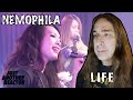 Just Another Reactor reacts to Nemophila - Life (Live)