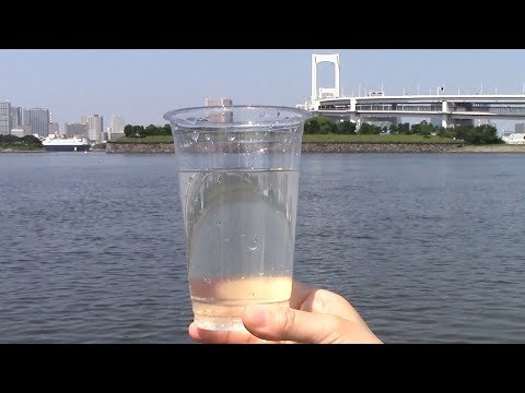 お台場の水「臭い」騒動  大会中にしのぐだけでいいのか