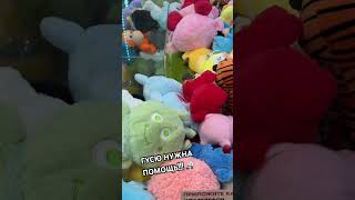 РУБРИКА «СПАСАТЕЛИ МАЛИБУ», гусю нужна помощь!!!🚑