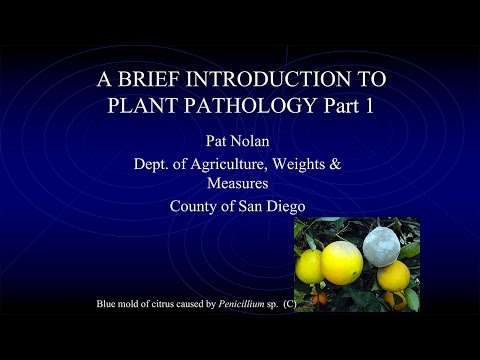 Plant Pathology Part 1