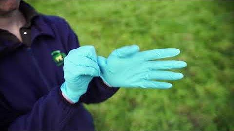 How to take a faecal sample