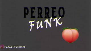 PERREO FUNK | MIX BOLICHERO N° 20 | TERRIX DJ