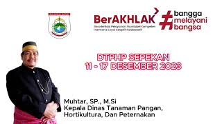 Dtphp Sepekan 11 - 17 Desember 2023