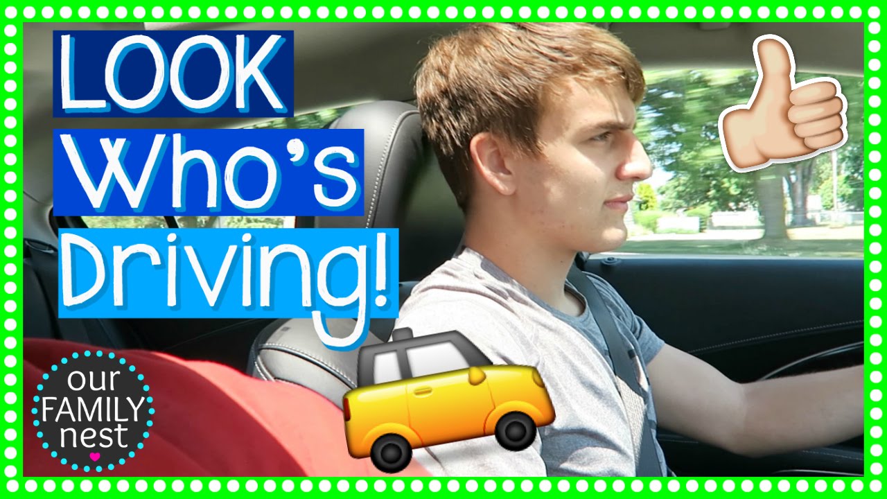 LOOK WHO'S DRIVING! HE HAS HIS DRIVER'S PERMIT!
