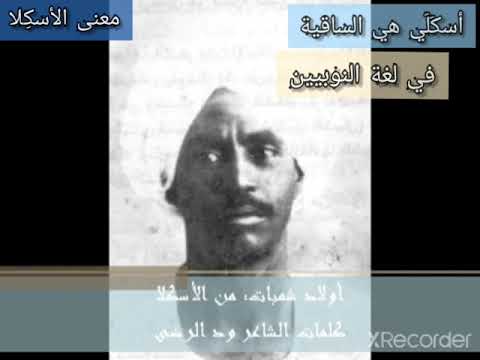 معنى كلمة اسكلا الأسكلا من الأسكلة و حلا